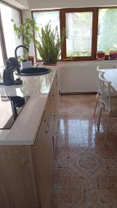a kitchen with a counter and some plants and windows at Casa Carmen in Târgu Ocna
