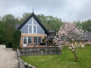 a house with a tree in front of it at Hegedal Fjordhouse in Hobro