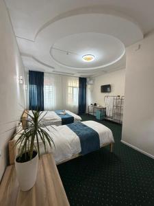 a hotel room with two beds and a potted plant at Саратан отель in Osh