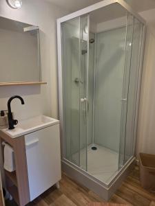 a glass shower in a bathroom with a sink at Petite maison sympathique in Auvers