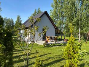 a cottage with a picnic table in the garden at Na domek do Pati in Przejma Wielka