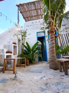 a building with a palm tree and a blue door at Homestay Nhà Có Gió in Thôn Mỹ Tường