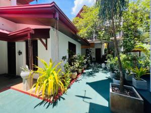 a courtyard of a house with a lot of plants at Ceylonima Home Stay in Anuradhapura
