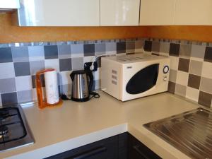 a white microwave sitting on a kitchen counter at Casa Camilla CIR 0058 in Aosta