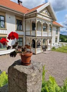 a house with a vase of flowers on a rock at Klevs gästgiveri 25 min från Ullared in Mårdaklev