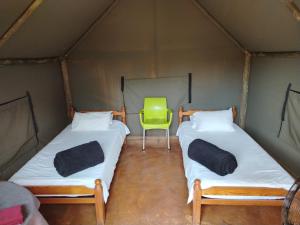 two beds in a tent with a green chair at African Dream Tents in Graskop +29 photos