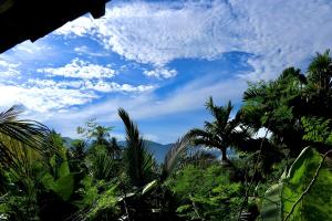 a view of a blue sky with palm trees at farm house chalet in Dambulla