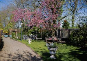 a park with trees with pink flowers and a bench at Studio Unique in Enschede