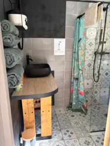 a bathroom with a sink and a shower curtain at Le petit cabanon in Lagorce +17 photos