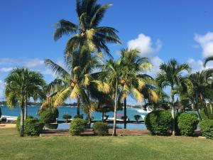 a view of the ocean from a resort with palm trees at Villa 4 chambres THE BAY, pieds dans l'eau au centre de Grand Baie in Grand Baie