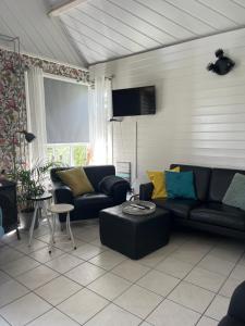 a living room with a couch and a table at Eilantgeluk in Oudesluis