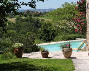 three potted plants sitting next to a swimming pool at Chez Caro in Mourjou +42 photos