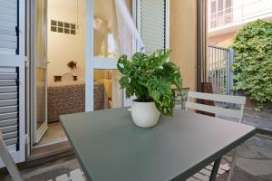 a potted plant sitting on a table on a balcony at OlioeAlloro B&B in San Vincenzo +25 photos