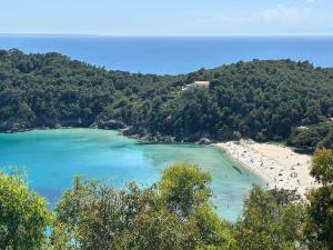 a view of a beach with people in the water at Appartamento Ortensia in Fetovaia
