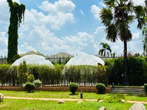 two white tents in a park with a palm tree at PaPa Q suite Resort in Roi Et