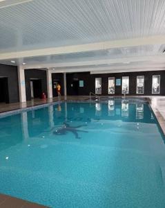 a large pool of blue water in a building at Lyons Robin Hood Hazel Park 6 in Rhyl