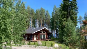 a cabin in the woods with trees at Kolin Lotus Superior-Amero Cottages in Kolinkylä