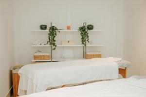 two beds in a room with plants on shelves at Arroyo Boutique&Business Hotel- By Star Hotels in Nahariyya