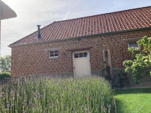 a brick house with a white door and a field of flowers at Maison Lion Luxe gastenverblijf in Borgloon