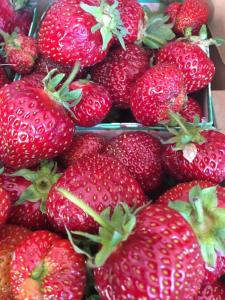 a pile of strawberries sitting on top of each other at Holkestorp in Onslunda