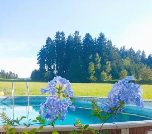 a swimming pool with blue flowers next to a field at Pension Fanlor in Zubčická Lhotka