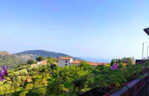 a view of a vineyard with purple flowers at B&B Spirito Santo in Casal Sottano