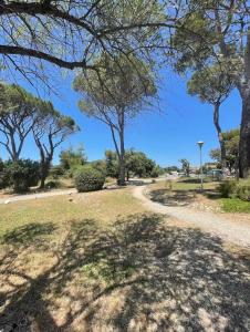 a path in a park with trees in the background at Maison avec jardin in Calvisson
