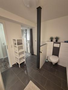 a bathroom with a toilet and a shower in it at Sonnenterrasse in Hörup