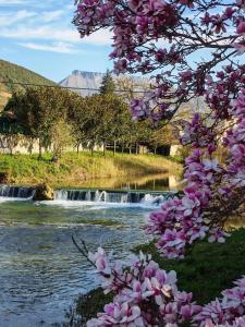 a river with a waterfall and pink flowers at La Granjita del río in Nava de Ordunte
