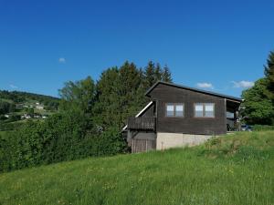 a house on top of a grassy hill at Ferienhaus Lisa in Klingenthal