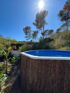 a swimming pool in a garden with the sun behind it at Son Roca Ribes Guest House in Sant Pere de Ribes