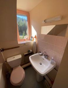 a bathroom with a toilet and a sink and a window at L Escale du Lioran in Le Lioran