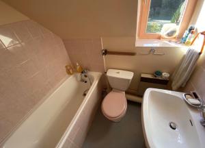 a bathroom with a toilet and a tub and a sink at L Escale du Lioran in Le Lioran