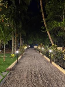 a road lined with palm trees at night at Creek Cottage in Kollam