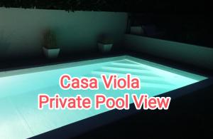a swimming pool with two potted plants in it at Casa Viola Vicenza - Free Parking & Relax in Vicenza