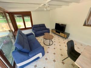 a living room with two blue couches and a television at Gîte Chez Armande in Surfonds