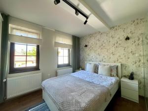 a bedroom with a bed and two windows at Stari grad 1 in Valjevo +7 photos