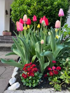 a bunch of pink flowers in a garden at Pleasant Apartments in Bled