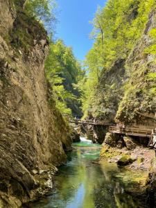 a bridge over a river in a canyon at Pleasant Apartments in Bled