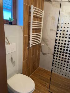 a bathroom with a toilet and a shower at Viktória central apartman in Odorheiu Secuiesc +5 photos