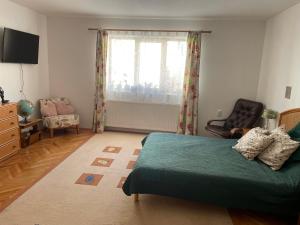 a bedroom with a bed and a chair and a window at Viktória central apartman in Odorheiu Secuiesc