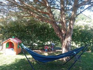 a blue hammock sitting in front of a tree at Refúgio Da Pinheira in Marco de Canaveses