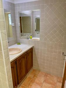 a bathroom with a sink and a mirror at location verdon in Les Salles-sur-Verdon +6 photos