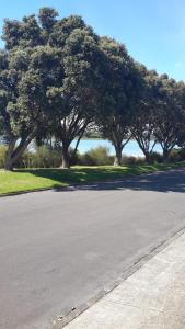 a street with trees on the side of a road at Pukeko on Bay in Tauranga