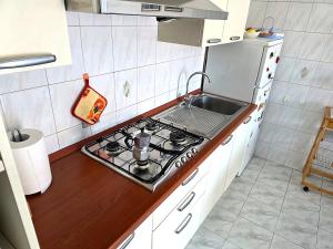 a small kitchen with a stove and a sink at Casa Cordara Apartment in Nizza Monferrato