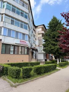 a building with a tree and bushes in front of it at Dragasani Cozy Apartament in Drăgăşani