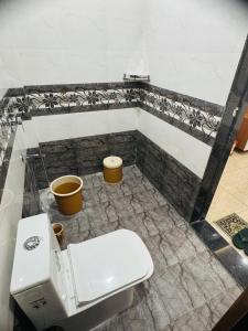 a bathroom with a toilet and a tub at Rudraksh Hotel & Resturant in Lordi