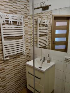 a bathroom with a sink and a mirror at Piękny zielony zakątek na Kaszubach - agroturystyka z jacuzzi in Strzepcz +39 photos