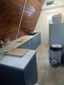 a kitchen with a counter top and a refrigerator at Brda Hideaway in Głębokie +9 photos
