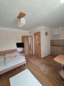 a living room with a bed and a kitchen at Noclegi Pod Lipami in Zwierzyniec +16 photos